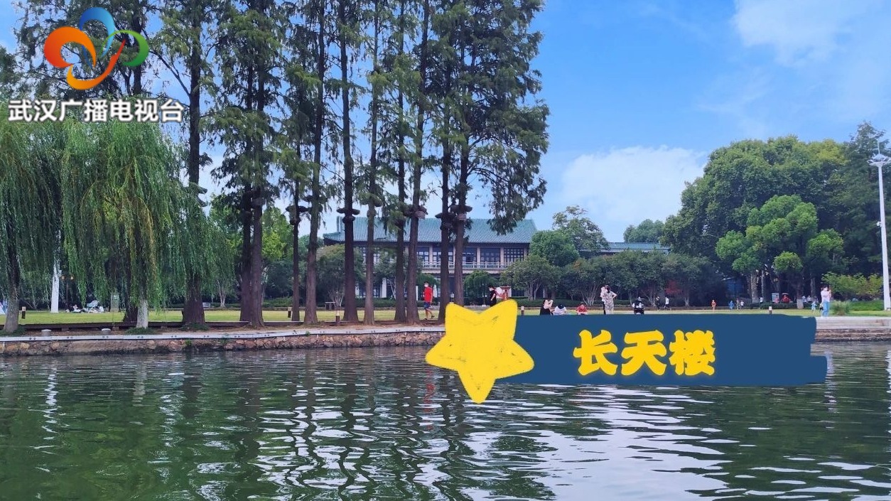 2018武汉马拉松东湖赛段,武汉国际马拉松