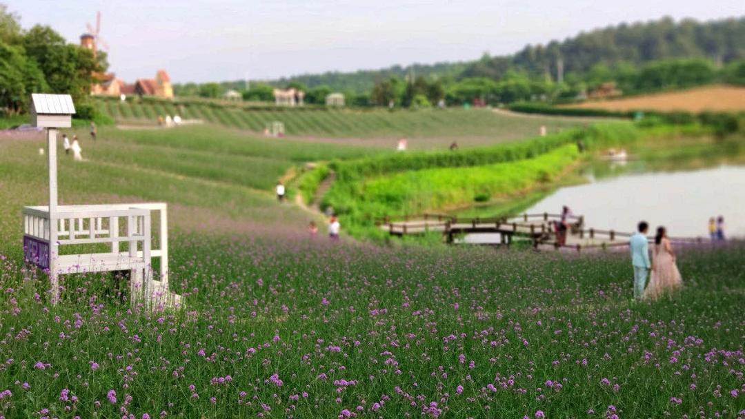 江宁周末能玩一天的地方,国庆假期到哪玩在江宁区内