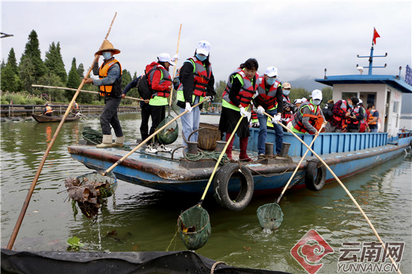 “探秘母亲湖”科普昆明50余名市民志愿者当起“滇池清道夫”