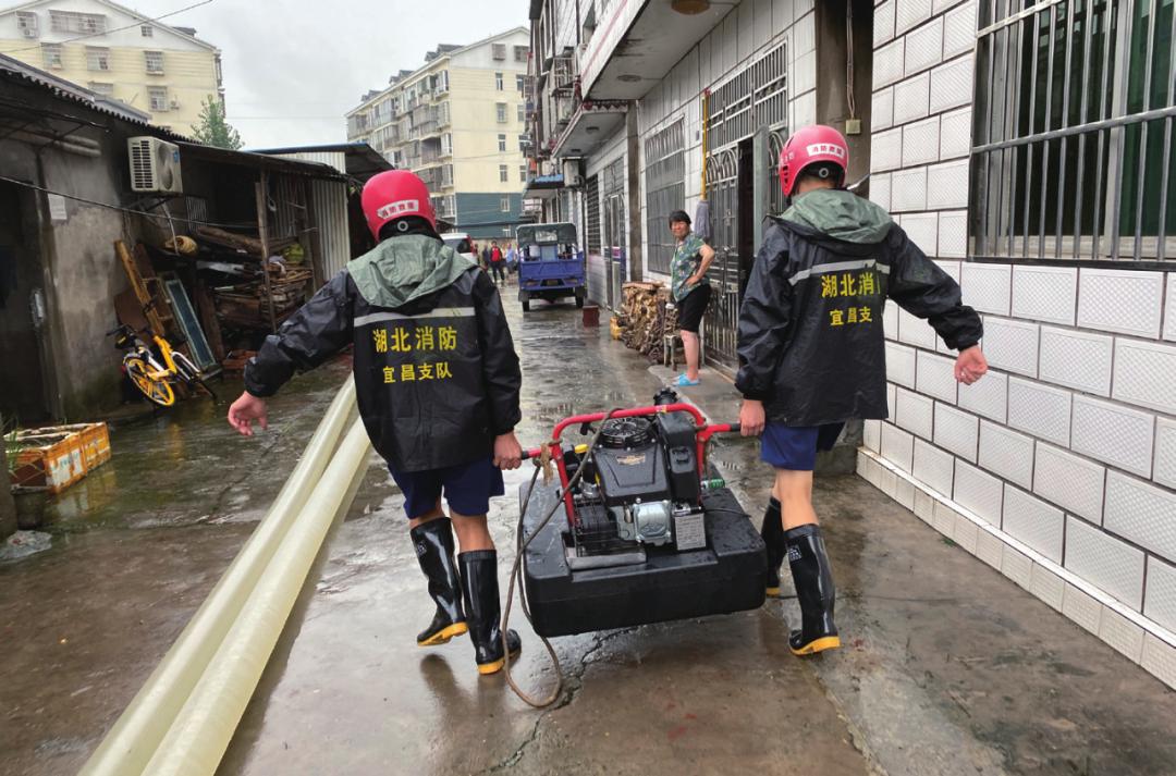 宜昌青年轻霜冻死单根草狂风难毁万木林