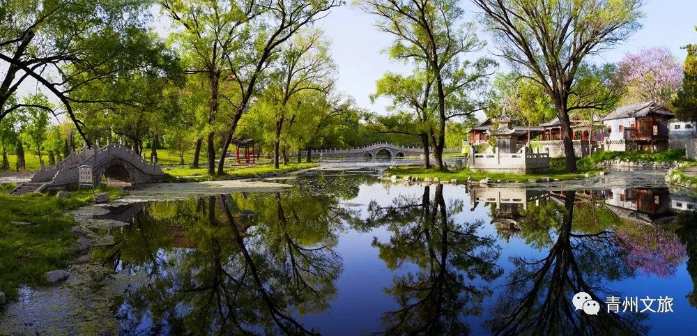 李清照在青州的时光,李清照笔下的青州