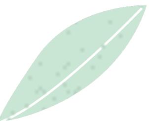 厦门旅游出行最详细攻略,玩转厦门自驾游的必备攻略