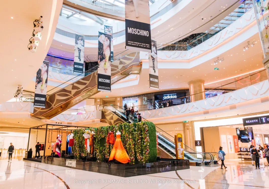 澳门旅游攻略自由行费用多少,澳门旅游11月份攻略最新