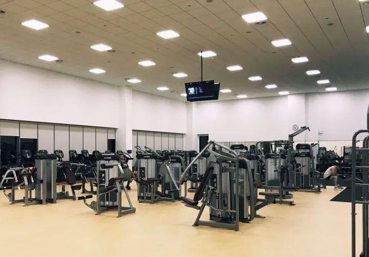 别再说深圳没有好大学了