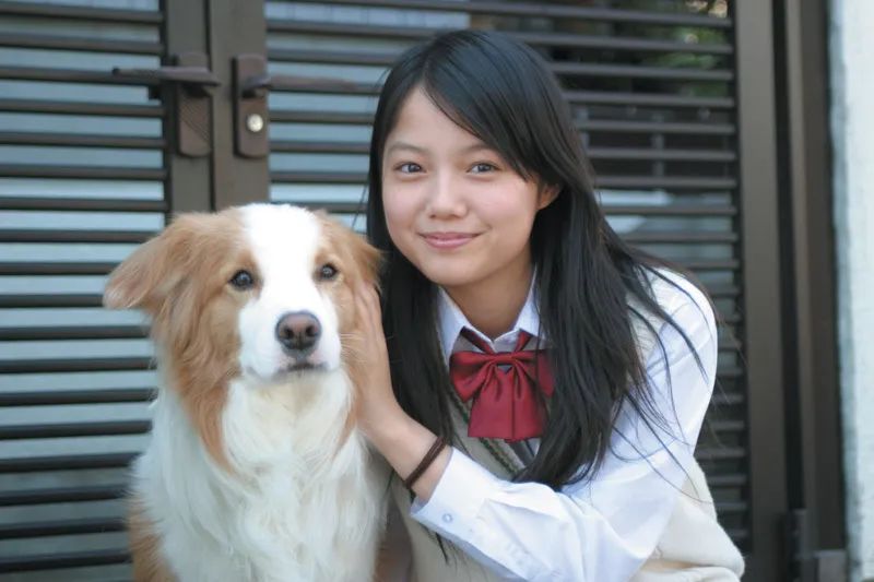 养了十年的狗和出生的婴儿,养了10年的狗和男朋友你选谁