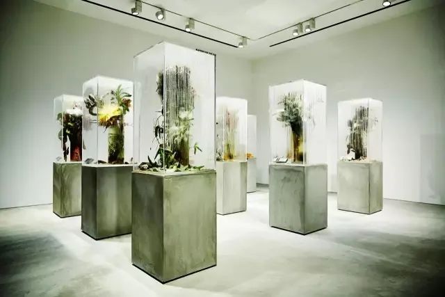 他是日本著名“花花公子”，拈花惹草只为极致的美