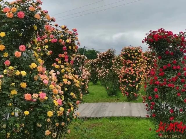 中秋国庆文旅活动发布,文旅大餐迎中秋演出活动都在这里