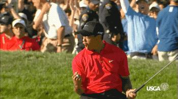 备用杆都能卖100万！盘点：老虎用过的每一支推杆