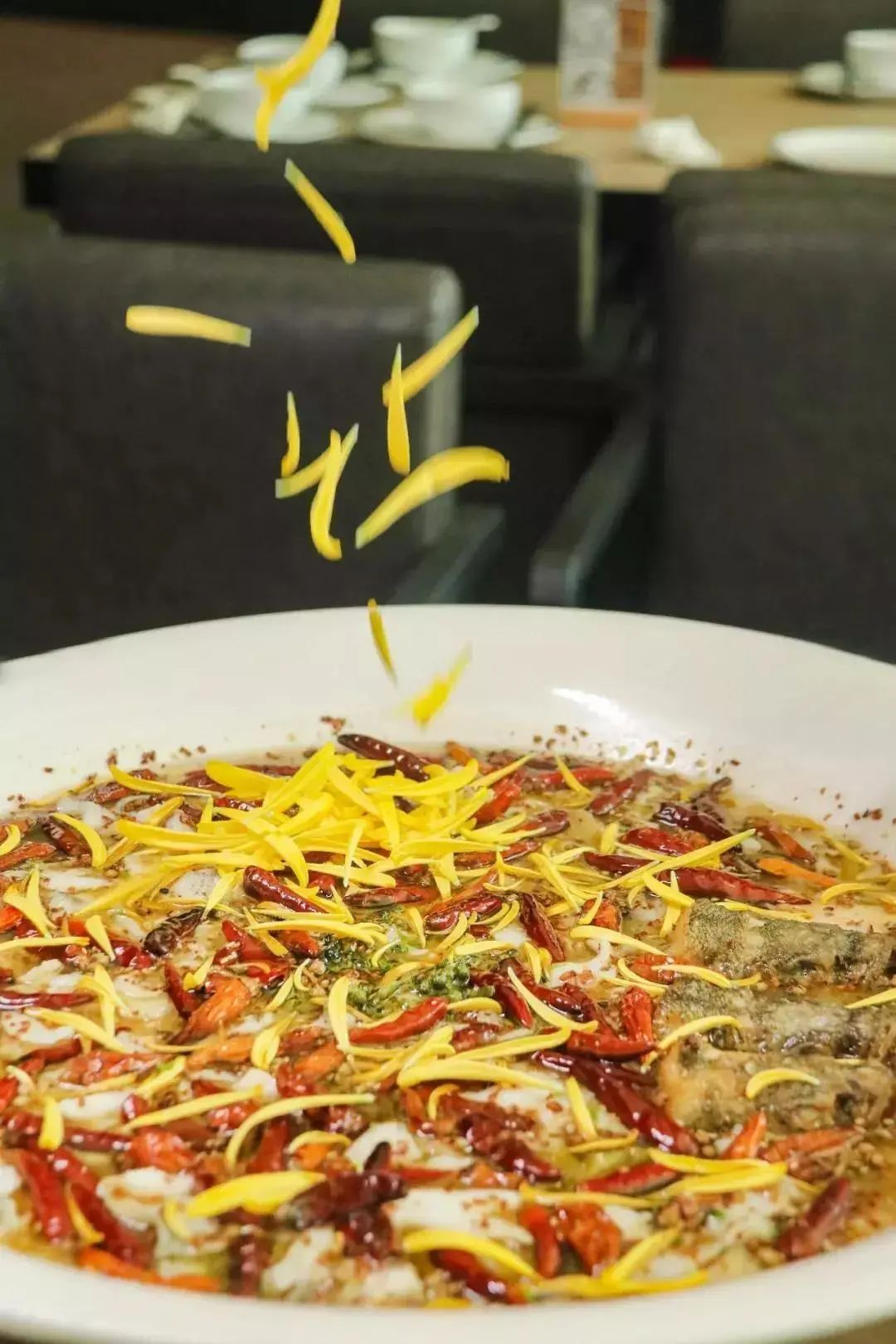 湊湊火锅、太二酸菜鱼来常州了！这个国庆假期，撩你我们是认真的