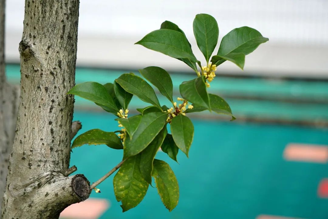 滨江多思创新学校,滨江学校全部排名