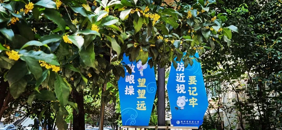 滨江多思创新学校,滨江学校全部排名