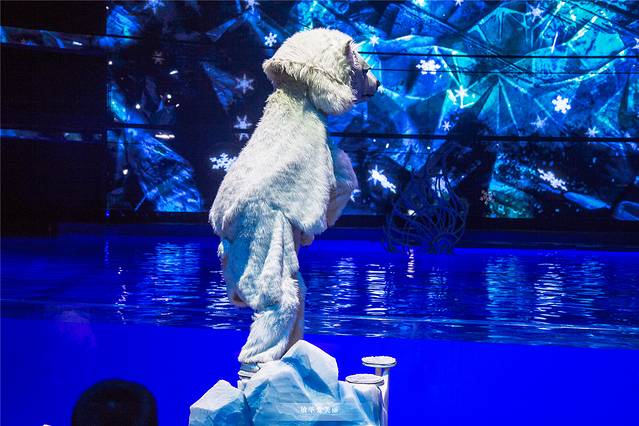 三亚泡酒店带三餐,三亚旅游吃海鲜攻略