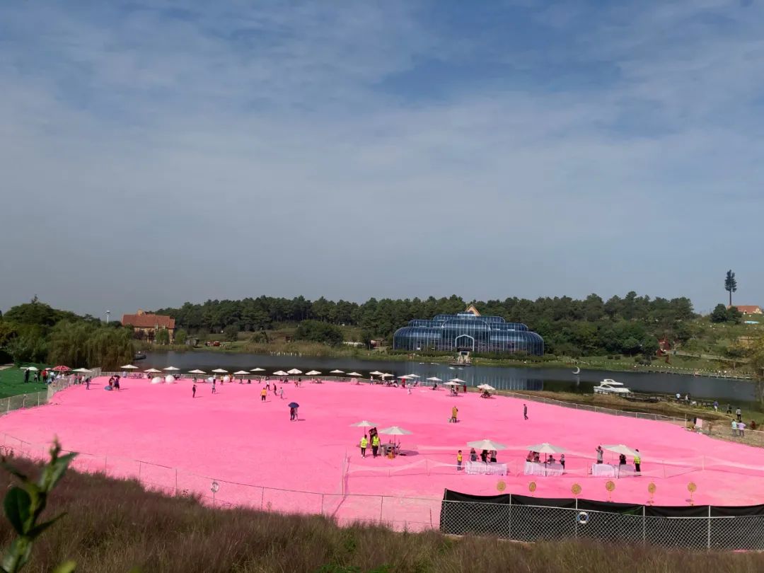 存款超200万家庭,八天突破100万粉丝