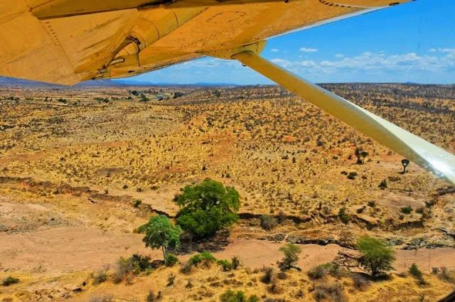 机场值机可以选靠窗的座位吗,早点去机场可以选择喜欢的座位么