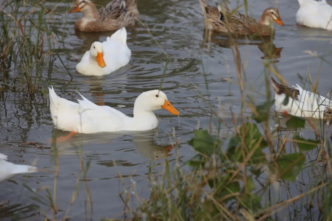 推荐一个假期亲子出游的好地方,北京亦庄周末去哪儿玩