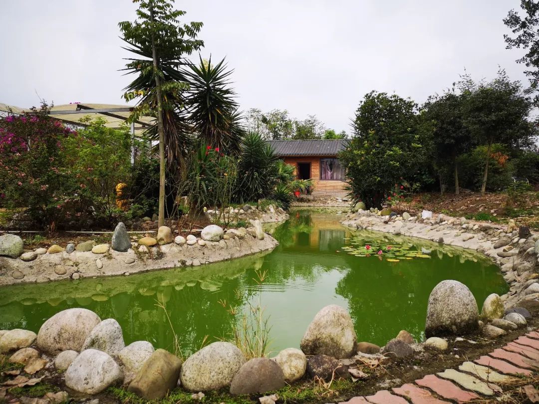 广汉有什么好吃又实惠,广汉有什么推荐的吃的