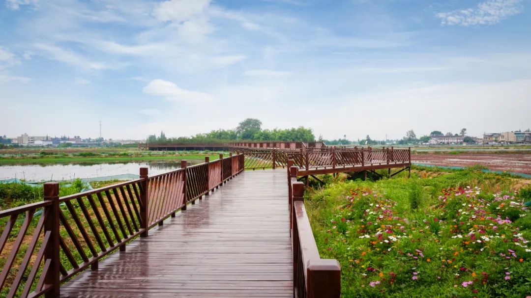 广汉有什么好吃又实惠,广汉有什么推荐的吃的