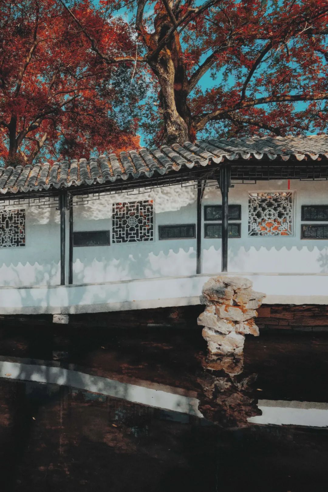 苏州是一座什么样的城市,苏州是一座美丽的城市