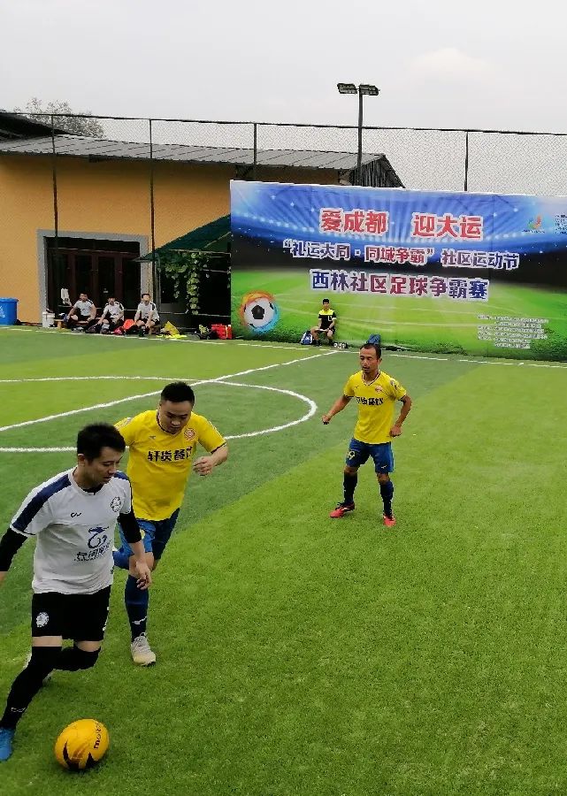 青白江足球场推荐,青白江特色风景