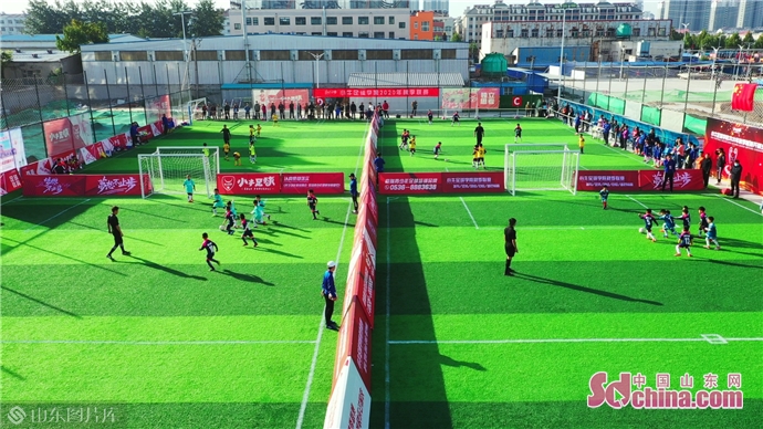 小牛足球最新比赛,小牛足球联赛