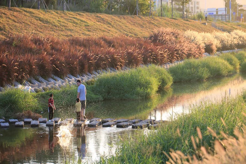 建“圳”四十年：中建集团与深圳经济特区共奋进