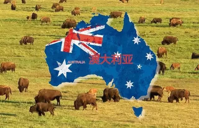 蓝睛生活圈正式上线啦，特惠商品等您来抢