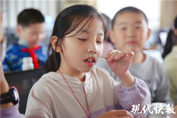 把苜蓿草带进课堂，快宝和南京察哈尔路小学萌娃们一起“涨姿势”