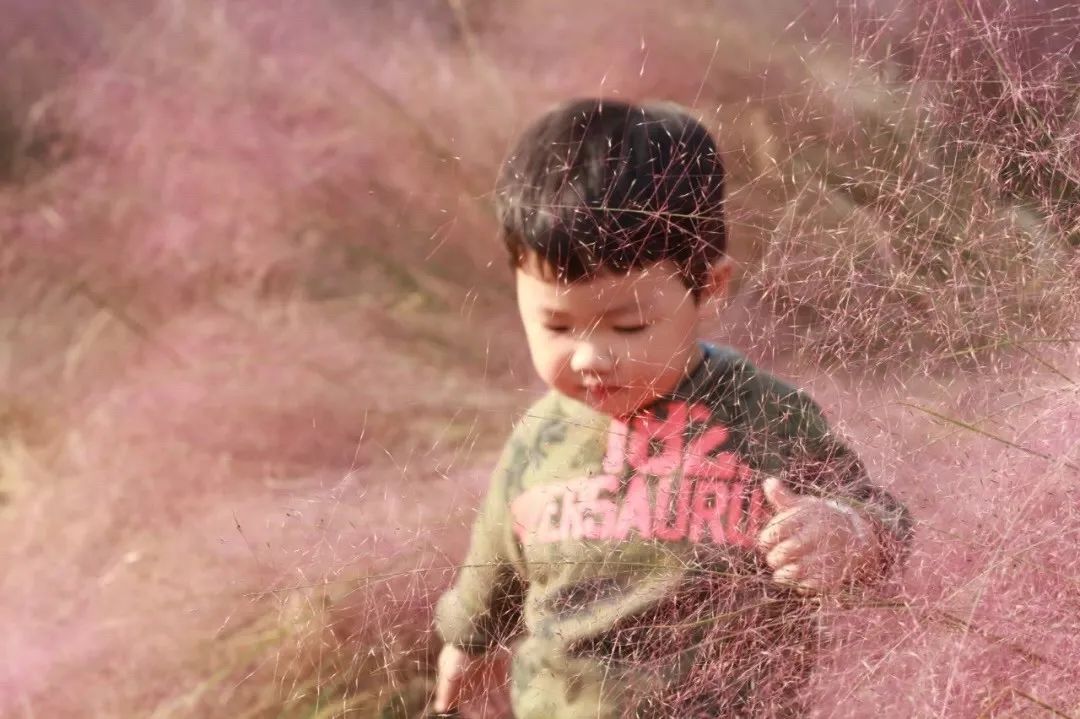 嘘！青白江名媛群邀你进群！让你轻松在朋友圈c位出道