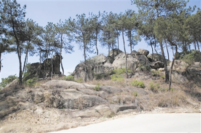 南阳远古岩画教学,南阳石刻碑刻