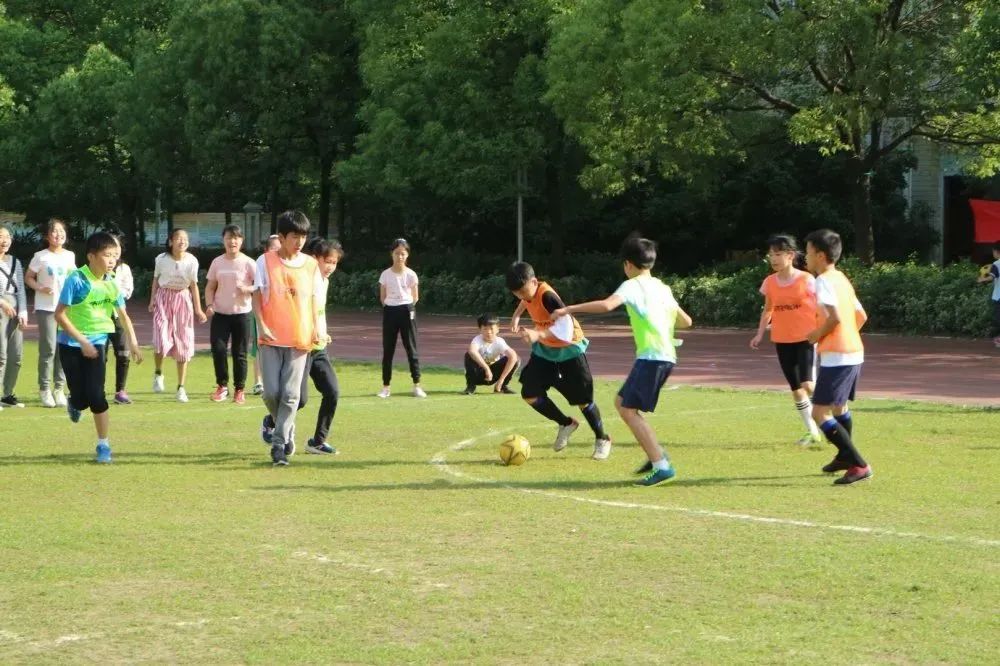 江苏每天一节体育课,深圳学校每天一节体育课