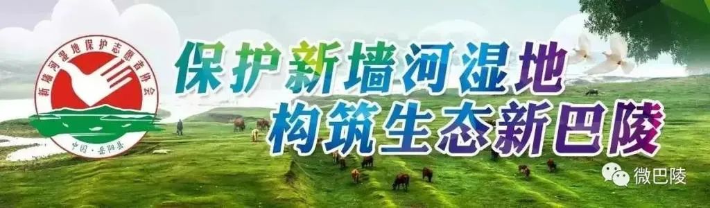 在编人员注意啦！岳阳这家单位正公开选调工作人员......