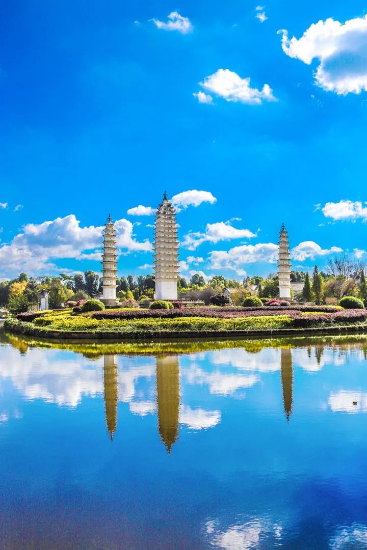 昆明春城秀图片,昆明正宗春城秀