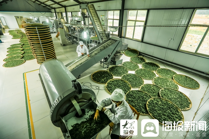 马套村乡村振兴考察,乡村文旅产业带动村民就业