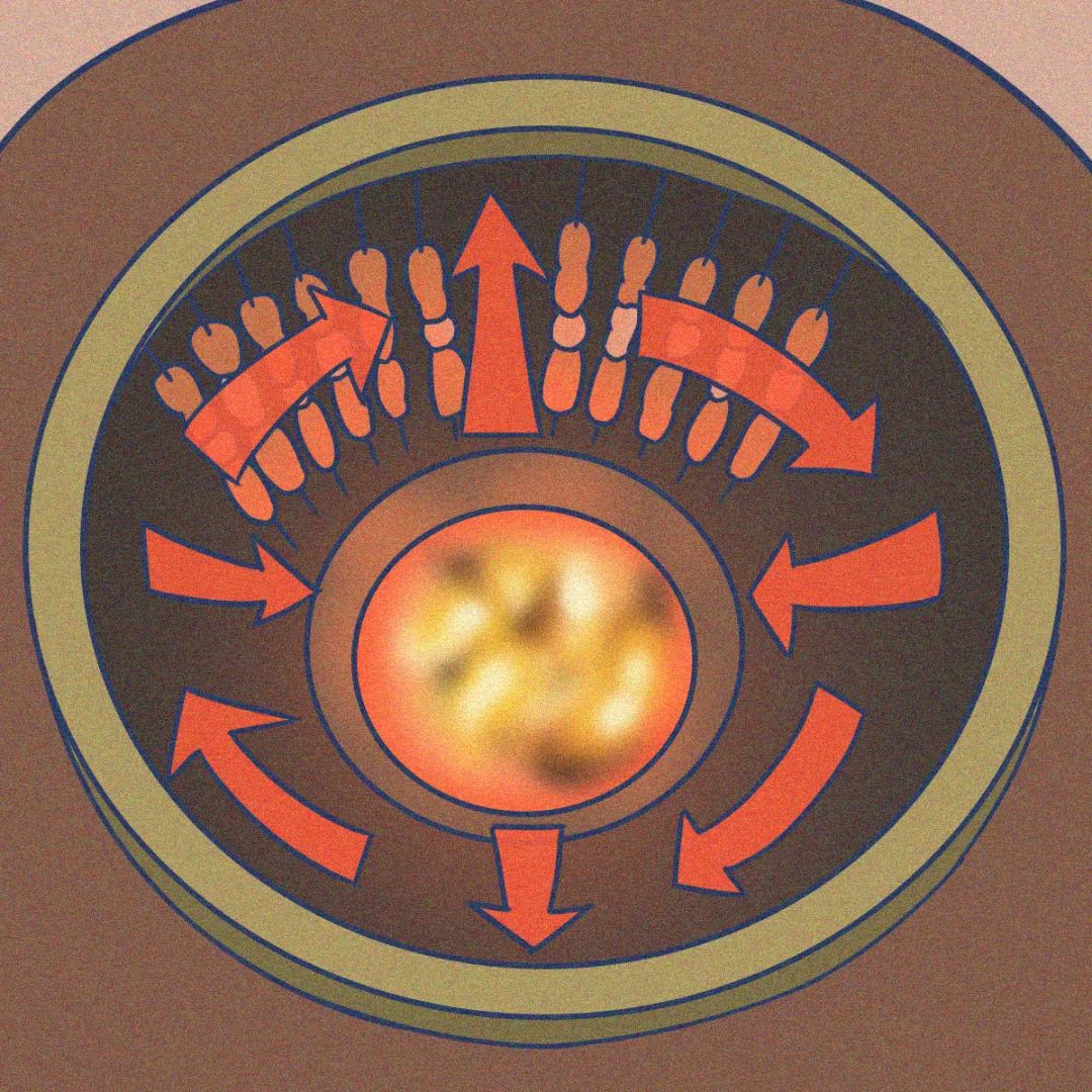 烧烤吃什么才不容易胖,烧烤怎么吃好吃又健康