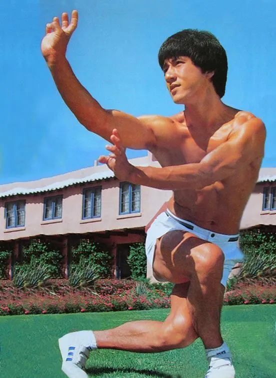 成龙大哥功夫题材,成龙大哥真的是能文能武样样精通