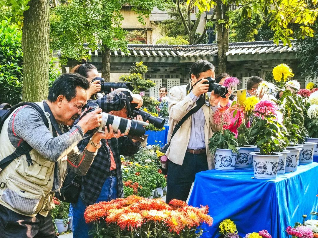 成都1100个公园俯瞰,成都100个公园规划图