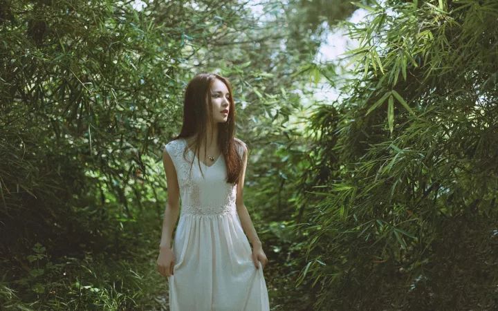 成都1100个公园俯瞰,成都100个公园规划图