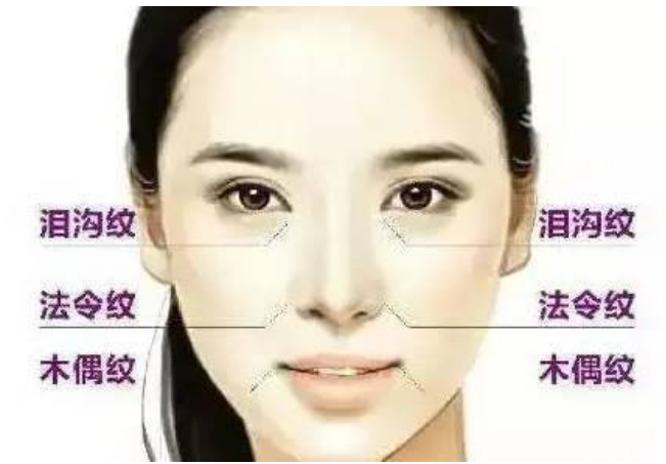 抗老真相,抗老的真相