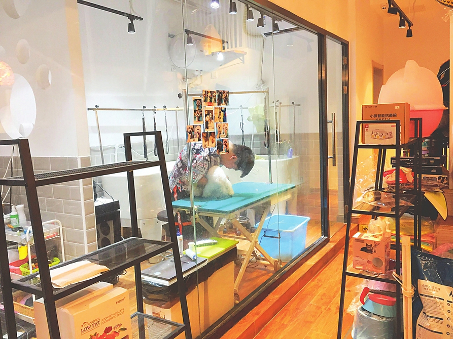 “它经济”走俏：萌宠行业“宠”了谁？