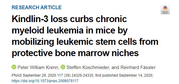 慢性粒细胞白血病靶向治疗寿命,慢性粒细胞白血病vp方案治疗周期