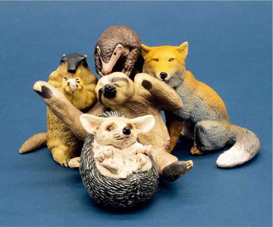 我们的中国地理绘本,恩施中国国家地理