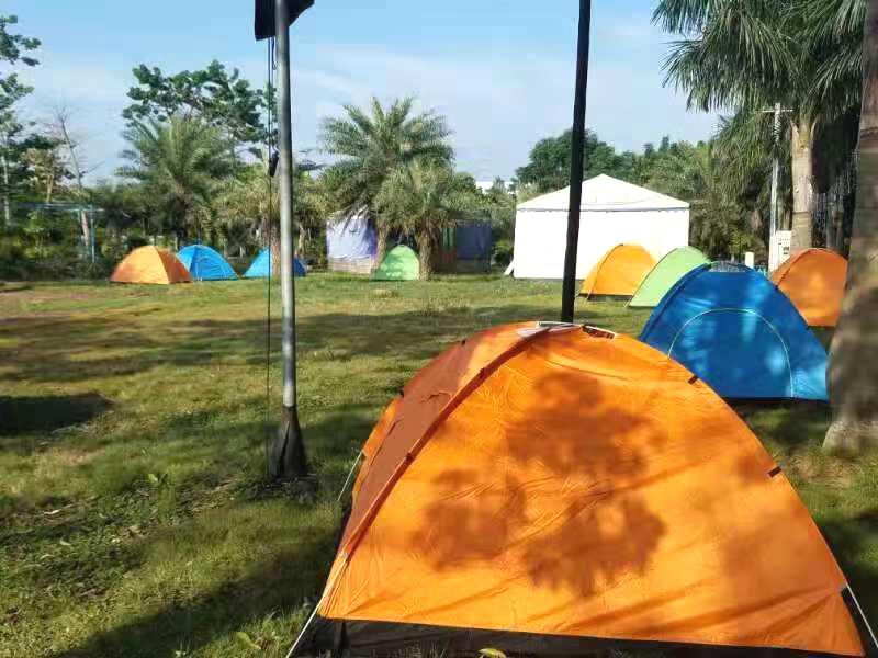 上车旅游打卡,上车打卡下车打卡