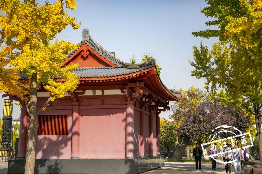 曲江秋天风景,曲江的秋色