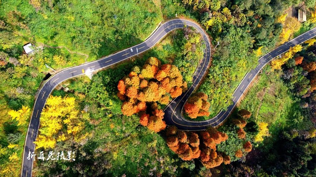 初秋彩林成都周边秘境,成都附近彩林秘境