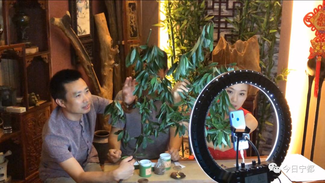 赣南农特产品最新政策,双十一激活电商产业链