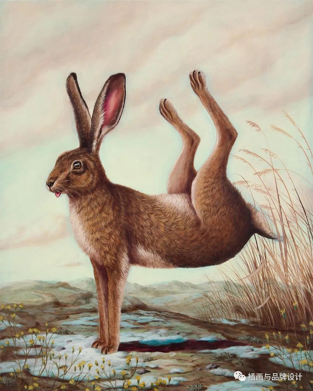 荒诞极端插画,荒诞主义插画