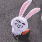 时尚高档的蕾丝女装,蕾丝女装合集