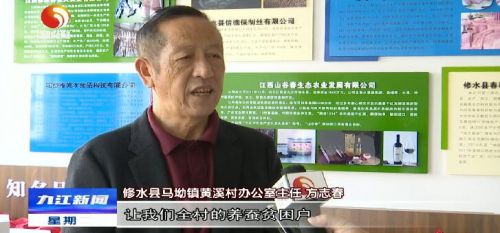 修水马坳,江西省修水县马坳