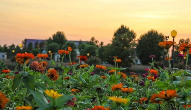 盐城发色,盐城代表颜色