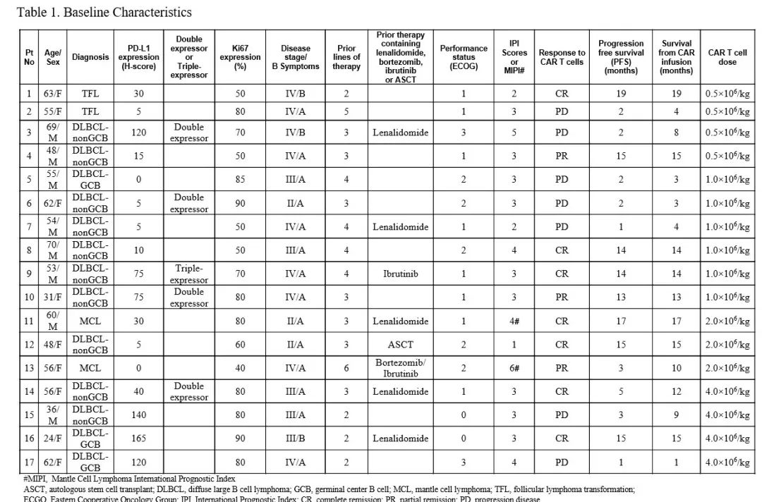 car-t治疗淋巴瘤最新研究进展,CD19CAR-T新药项目